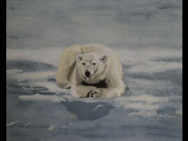 schilderij wildlife: ijsbeer